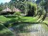 Four Seasons Resort Bali at Sayan 